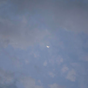 Meet your Posher, Izzy